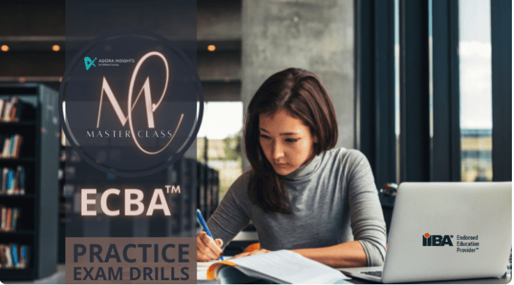 What Is ECBA - Entry Certificate In Business Analysis (ECBA) Tips And  Guidance In 2023 | Sns-Brigh10