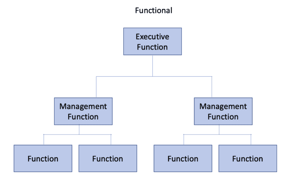 organisational modelling - functional