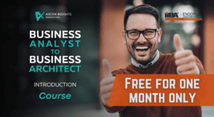 Business Analyst to Business Architect Free Training