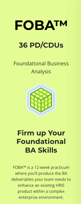 BA BLOCKS - FOBA (Foundational Business Analysis)